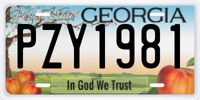 GA license plate PZY1981