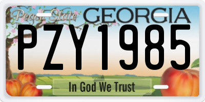 GA license plate PZY1985