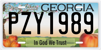 GA license plate PZY1989
