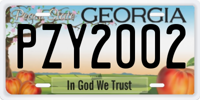 GA license plate PZY2002
