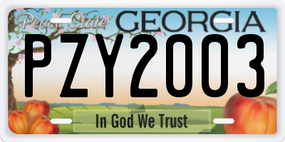 GA license plate PZY2003