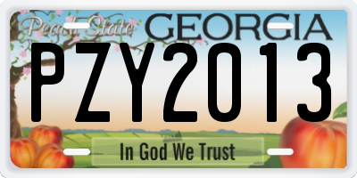 GA license plate PZY2013