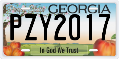 GA license plate PZY2017