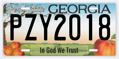 GA license plate PZY2018