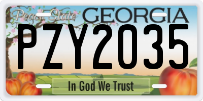 GA license plate PZY2035