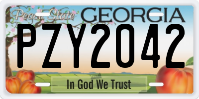 GA license plate PZY2042