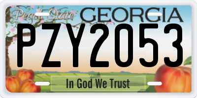 GA license plate PZY2053