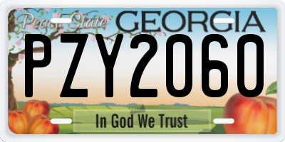 GA license plate PZY2060