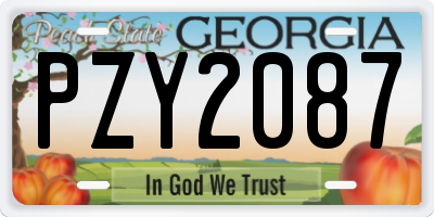 GA license plate PZY2087