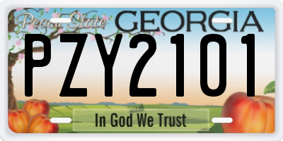 GA license plate PZY2101