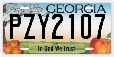 GA license plate PZY2107