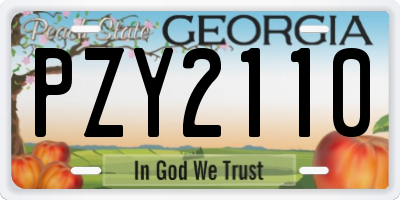 GA license plate PZY2110