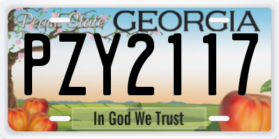 GA license plate PZY2117