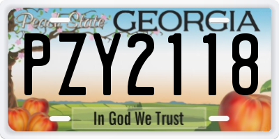 GA license plate PZY2118