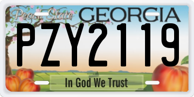 GA license plate PZY2119