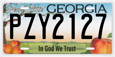 GA license plate PZY2127