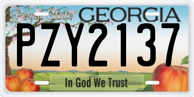 GA license plate PZY2137