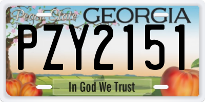 GA license plate PZY2151