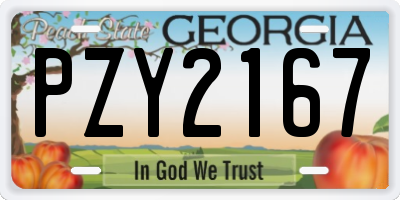 GA license plate PZY2167