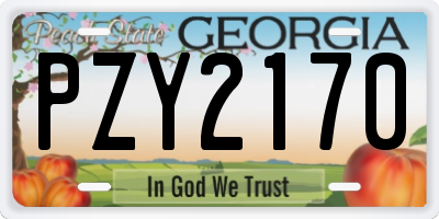 GA license plate PZY2170