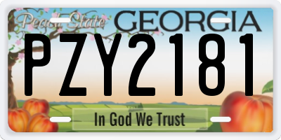 GA license plate PZY2181