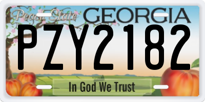 GA license plate PZY2182