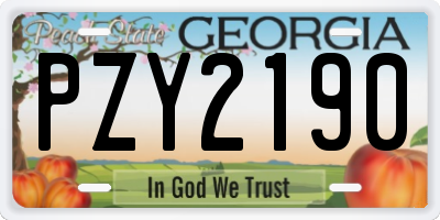 GA license plate PZY2190
