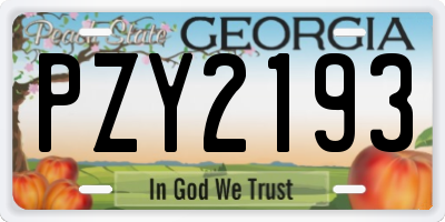 GA license plate PZY2193