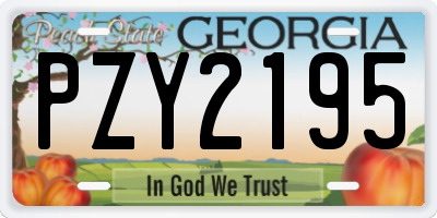 GA license plate PZY2195