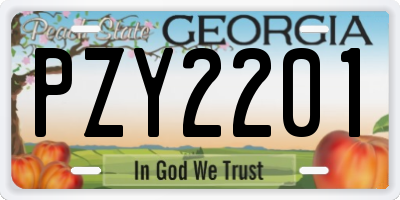 GA license plate PZY2201