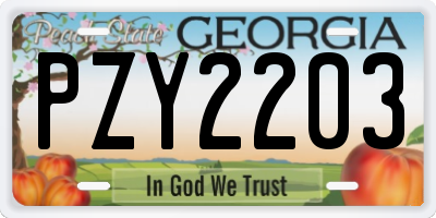 GA license plate PZY2203
