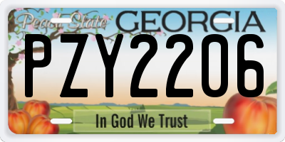 GA license plate PZY2206