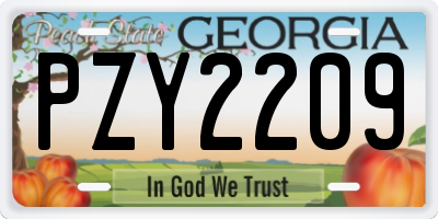 GA license plate PZY2209