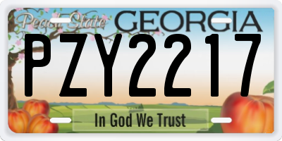 GA license plate PZY2217