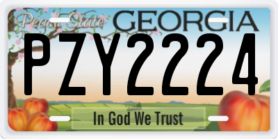 GA license plate PZY2224