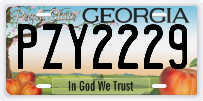 GA license plate PZY2229