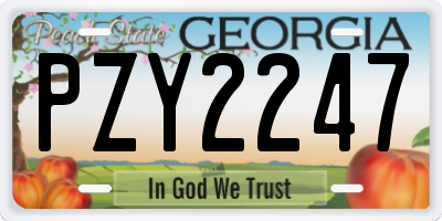 GA license plate PZY2247