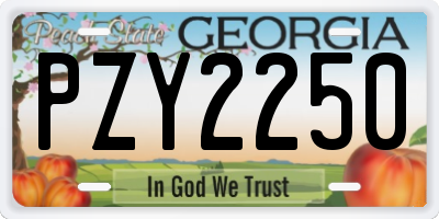 GA license plate PZY2250