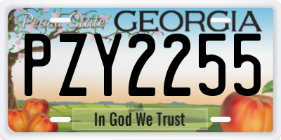 GA license plate PZY2255