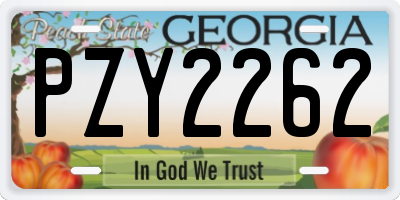 GA license plate PZY2262