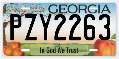 GA license plate PZY2263