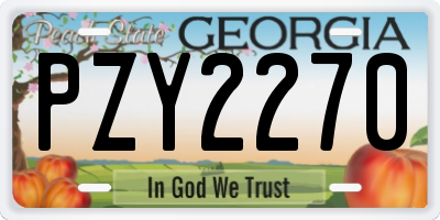 GA license plate PZY2270