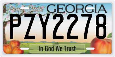 GA license plate PZY2278