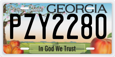 GA license plate PZY2280