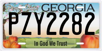 GA license plate PZY2282