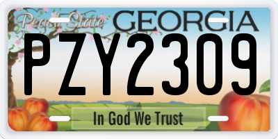 GA license plate PZY2309