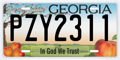 GA license plate PZY2311