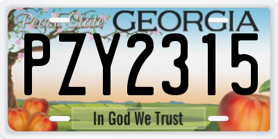 GA license plate PZY2315
