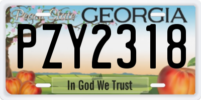 GA license plate PZY2318