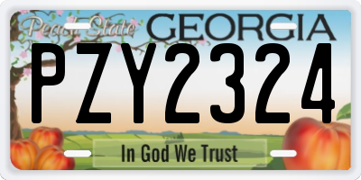 GA license plate PZY2324
